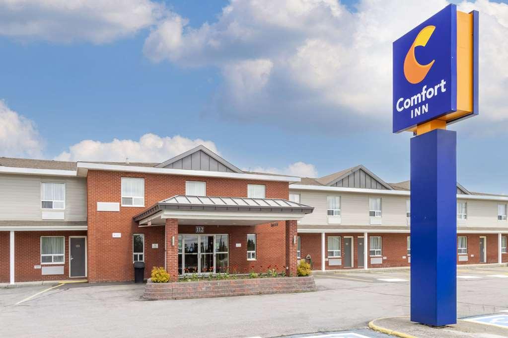 Comfort Inn - Gander Dış mekan fotoğraf