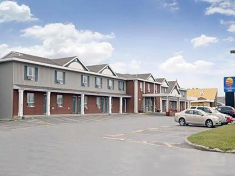 Comfort Inn - Gander Dış mekan fotoğraf